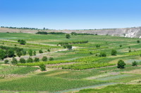 Богатые поля Молдавии (Фото: Serghei Starus, Shutterstock)